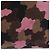 Bolso de hombro PRADA Canvas Camouflage Green Pink Auth bs37142 Rosa Verde - vista 3
