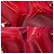 Hermès mala HERMES Birkin 35 em Couro Vermelho - 103974 - vista 12