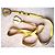 Charles Jourdan BORSA in bellissimo CUOIO giallo e Sottile Tracolla CON una CINTURA Sottile e lunga piccoli piedini in ottone dorato - vista 5