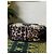 Borsa Tote Valentino Garavani Rockstud con stampa leopardata Marrone Bianco Stampa leopardo - vista 6