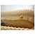 Autre Marque Buttero Oriental Voyage Botines de Lona Beige - vista 9