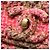 Bolsa de Ombro 2 Vias Chanel Coco Mark Turnlock Check Marrom Rosa Multicor - vista 10