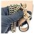 Gucci Interlocking Leather Small Marrone - vista 7