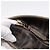Borsa Tote FENDI Zucca Canvas PVC Nero Marrone 8BH185 Auth hk4222A - vista 20
