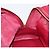 Borsa a mano LOEWE Amazona 36 in pelle rossa e oro autentica 206725A Rosso D'oro - vista 24