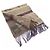 Louis Vuitton Echarpe Trunk Stripe Scarf Brown