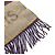 Louis Vuitton Echarpe Trunk Stripe Scarf Brown - view 2