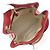 Borsa a tracolla Gucci 536196 A7M0G in pelle rossa Rosso - vista 7