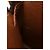 Bolso bandolera Louis Vuitton Monogram Amazone Marrón Castaño - vista 10