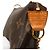 Bolso de mano Louis Vuitton Monogram Mini Pochette Accessoires Marrón Castaño - vista 5