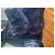 Autre Marque Cappotto Jacques Jekel in montone marrone Marrone scuro - vista 7