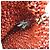 Autre Marque Borsa a tracolla con catena Anteprima Round Small Rosso - vista 11