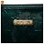 Louis Vuitton Green Monogram Vernis Bellevue GM Verde Verde scuro - vista 5