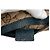 Bolso cinturón Gucci Beige GG Canvas Web con doble bolsillo - vista 5