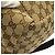 Sac Messenger Gucci Boucle GG Canvas Medium Beige - vue 7