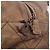 Borsa a tracolla CHANEL Lamb Skin Brown Gold CC Auth am12766A Marrone D'oro - vista 10