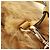 Bolsa de Ombro PRADA Pele 2way Yellow Gold Auth 205953M Dourado Amarelo - vista 15
