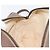 Borsa a tracolla GUCCI GG Supreme PVC Beige Gold Auth 206766 D'oro - vista 24