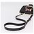 Borsa a tracolla Miu Miu Madras in pelle nera e oro Auth 207539M Nero - vista 7