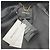 Chaqueta Varsity Retrofête New York Patch Negro - vista 4