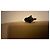 Autre Marque Daum Figurine Poisson en Cristal - Prune Marron - vue 2