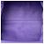 Bottega Veneta The Mini Pouch Crossbody in nappa viola Porpora - vista 4