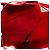 Borsa a tracolla Louis Vuitton Epi Noe in Castilian Red Rosso - vista 4