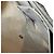 Borsa a pochette Gucci Old GG Supreme Beige - vista 6