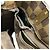Sac Tote Louis Vuitton Marylebone PM Marron - vue 6