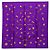Hermès Hermes Carre 90 Clips Scarf Purple
