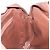 Borsa a tracolla Burberrys in pelle marrone e oro Auth ep15952 D'oro - vista 18