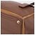 Autre Marque Borsa a mano Saint Laurent Muse toe in pelle marrone e oro autentica am12717A D'oro - vista 10