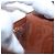 LOUIS VUITTON Monogram Porte TresorEtui Papie Wallet M61202 LV Auth BA15784 Monogramma - vista 10