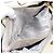 Borsa a tracolla Salvatore Ferragamo Vala in pelle 2way Ivory Gold Tone Auth 207588 Crudo - vista 29