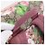 Zaino GUCCI GG Blooms PVC Leather Beige Silver 410544 Auth ka6474A - vista 7