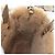 Jimmy Choo Tote Bag Leder Fell 2way Gold Auth 206610V Golden - Ansicht 21