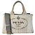 Bolso Prada Canapa M 1BG642 Gris