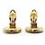 Chanel Brincos de pressão redondos Lion Crest Shield GP Dourado - vista 9