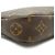 Louis Vuitton Monogram Pochette Accessoires Marrone - vista 7