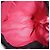 Yves Saint Laurent Parfums Bow Tote aus schwarzem Stoff Pink - Ansicht 9