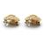 Chanel Pendientes de clip redondos dome texturizados con logo CC GP Dorado - vista 6