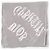 Dior by Galliano SS02 Chiffon Halstuch mit ‘Gothic’ Logo Grau - Ansicht 8
