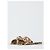 Dolce & Gabbana Leo Leo Print Gummischlappen braun - Ansicht 2