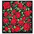 Dolce & Gabbana Pañuelo de sarga de seda estampado Roja
