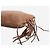 Miu Miu Clutch de couro castanho com borla Marrom - vista 3