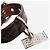 Fendi Collar para perro de cuero marrón con estampado zucca - size XS Castaño - vista 2