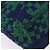 Borsa a tracolla Bottega Veneta INTRECCIATO Canvas Green Gold Auth 206749 - vista 18