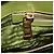 PRADA Handtasche Saffiano Leder Green Gold Auth 207400V Golden Grün - Ansicht 33