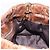 Miu Miu Handtasche Leder 2way Braun Gold Authentisch 167743M Golden - Ansicht 26