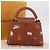 LOUIS VUITTON Catgram Capucine BB Handtasche 2-Wege Braun M25874 LV Auth 167633SM - Ansicht 12
